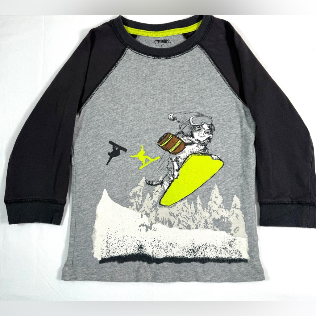 Gymboree Toddler Long Sleeve Raglan Graphic Tee 3t Snowboard Dog Winter Outdoor